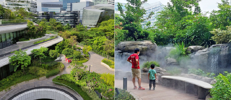 Image shows greenery rooftop garden at Wilmar Headquaters and people enjoying the landscape of roof garden